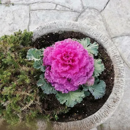 Country house Atxispe Etxea *