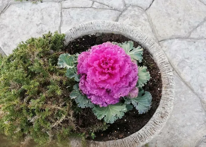 Casa rural Atxispe Etxea *